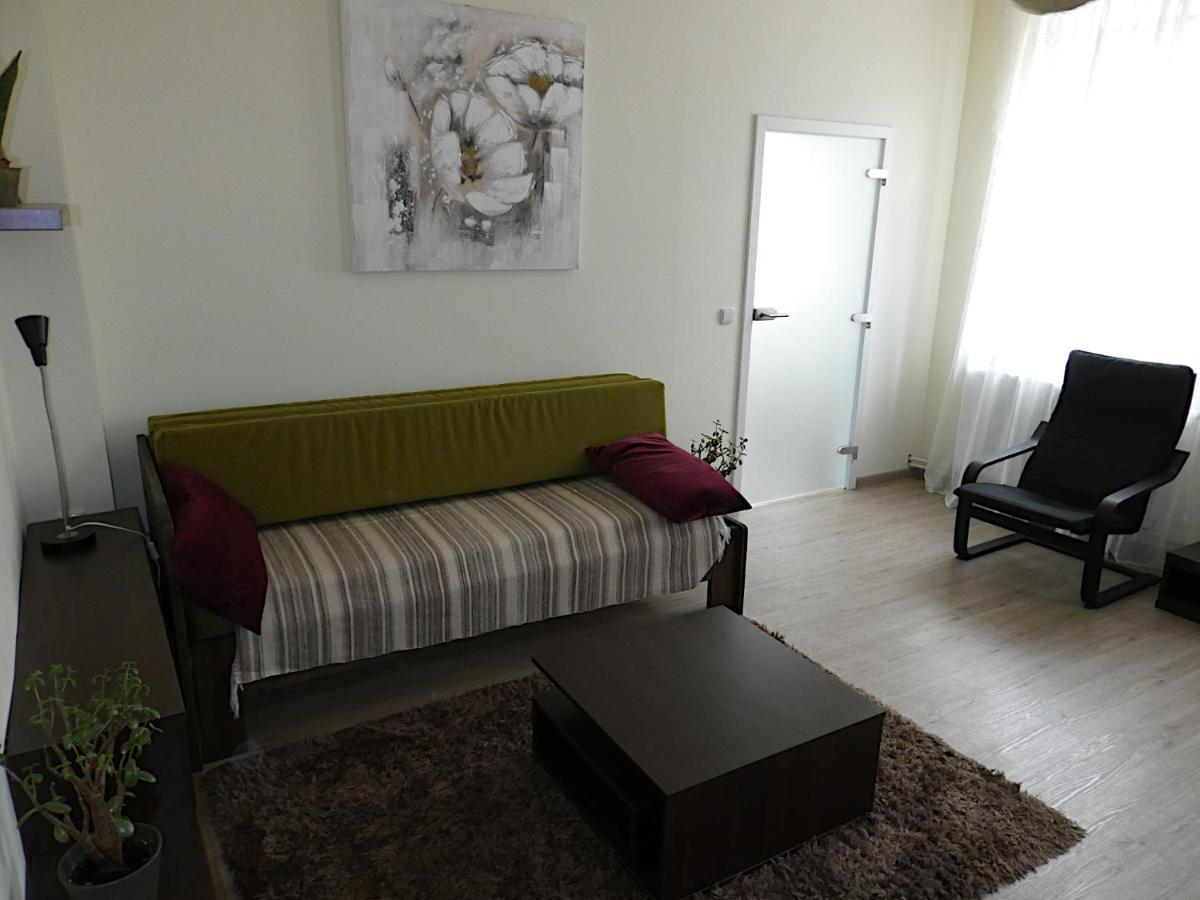 Apartman Marenka Nove Mesto na Morave Εξωτερικό φωτογραφία